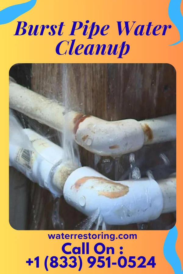 Burst Pipe Water Cleanup in West Marion, NC