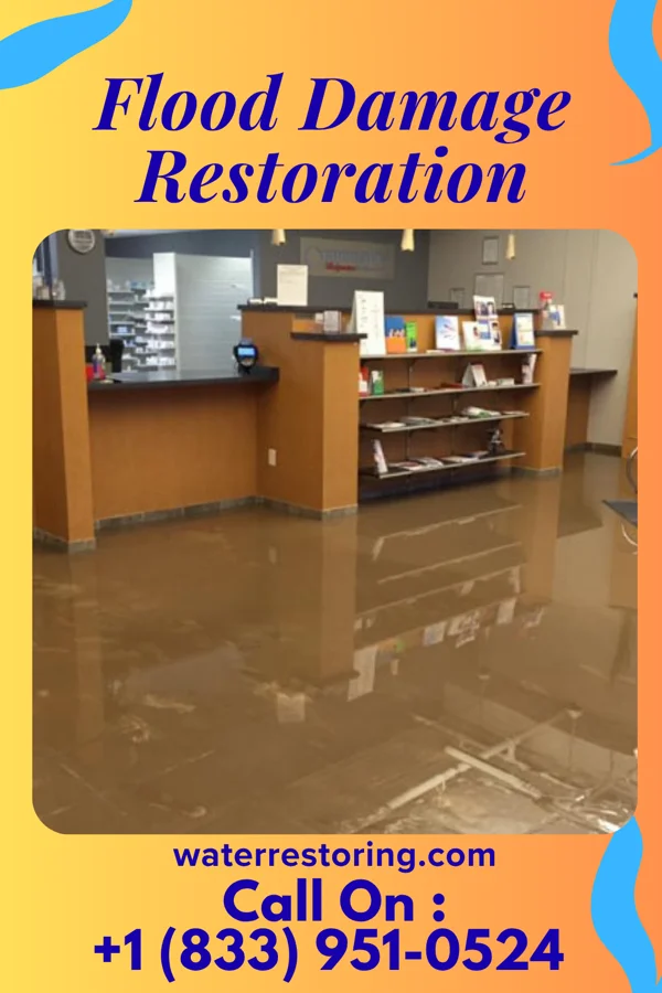 Flood Damage Restoration in West Marion, NC