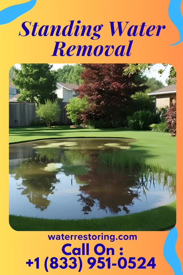 Standing Water Removal in West Marion, NC
